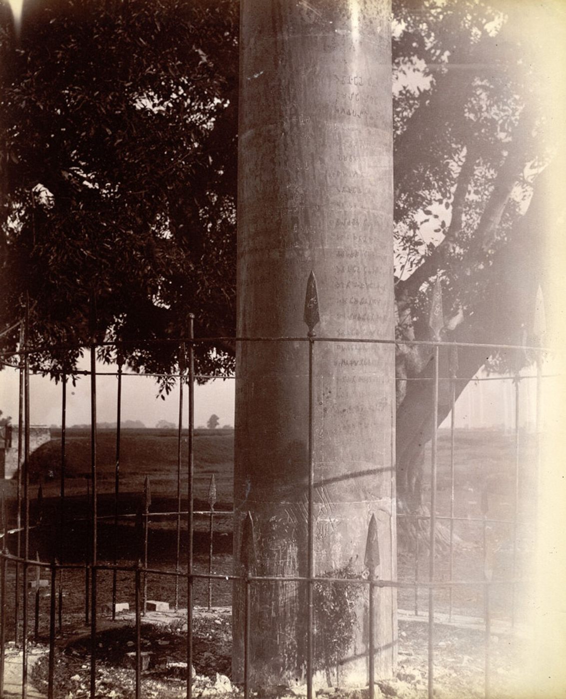 An early photograph of a tall stone pillar with a lion capital.