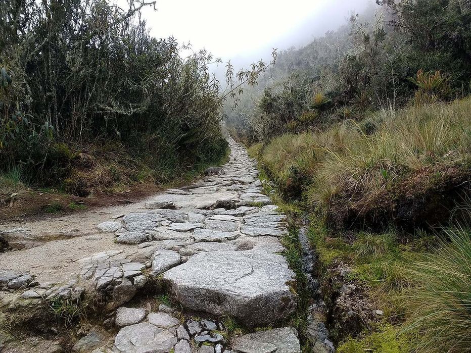 A narrow stone-paved trail running along a wooded mountainside.