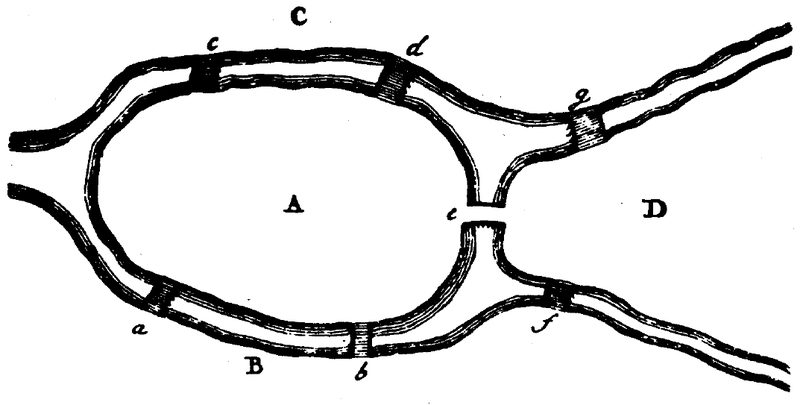 Diagrama en blanco y negro de siete puentes y zonas de tierra A, B, C y D