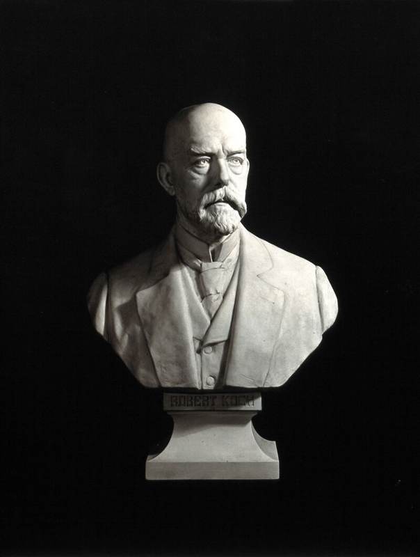 Historical photograph of a bust of Robert Koch.