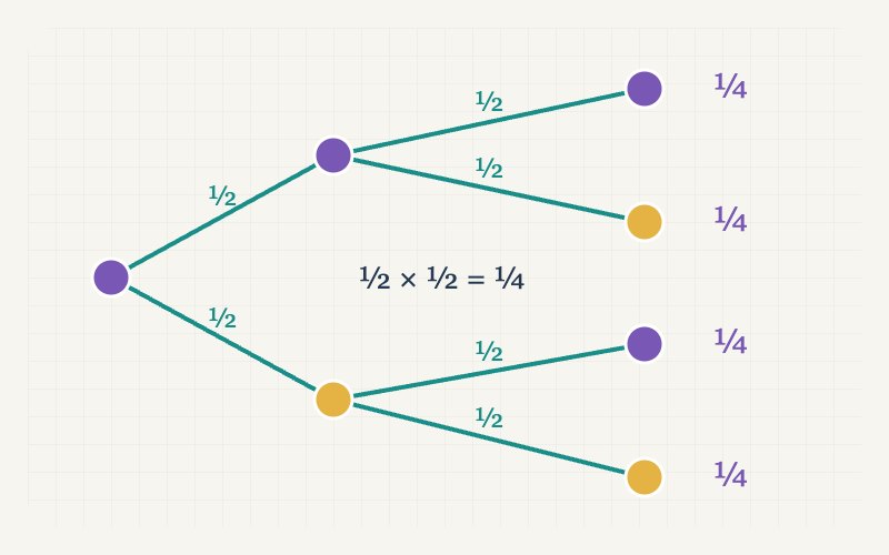 Two-level probability tree with one-half branches and four one-quarter outcomes