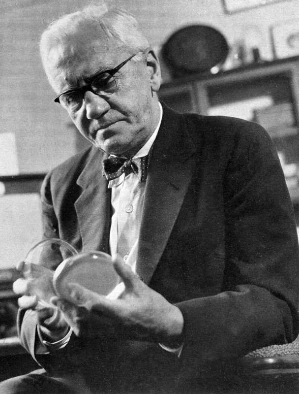 Portrait of Alexander Fleming.